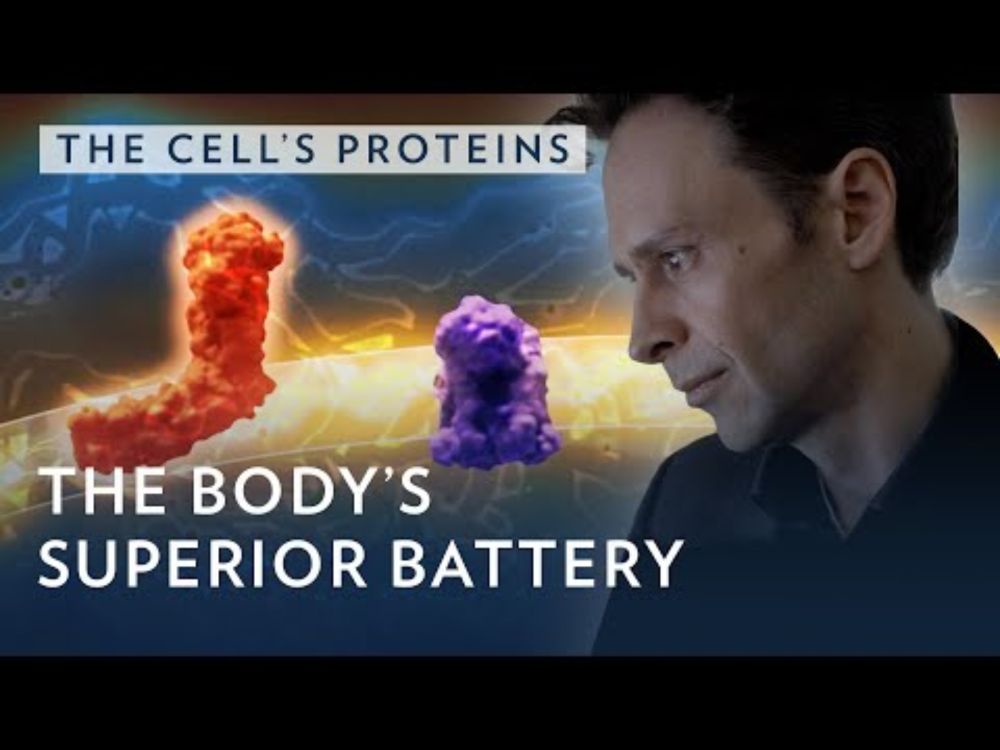 He wants to reveal the secret behind the body's battery