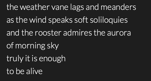 poem by @whispers615 that reads:


the weather vane lags and meanders
as the wind speaks soft soliloquies 
and the rooster admires the aurora
of morning sky
truly it is enough
to be alive