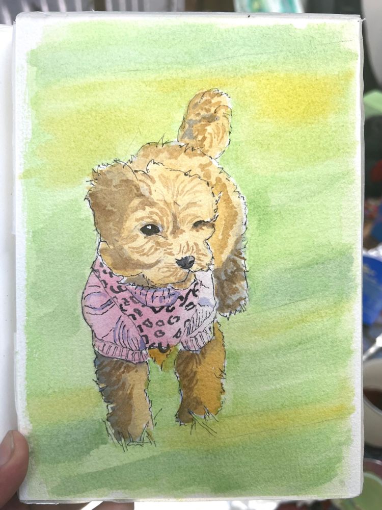 A watercolour of Bennet the puppy on her first day out. 