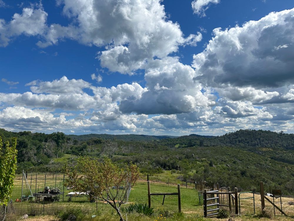 Landscape with clouds