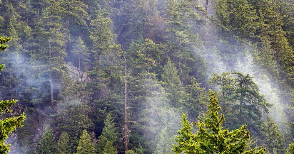 Wildfires continued to rage across Canada on Friday, with nearly three dozen new blazes, bringing the total number of active fires to 673.
