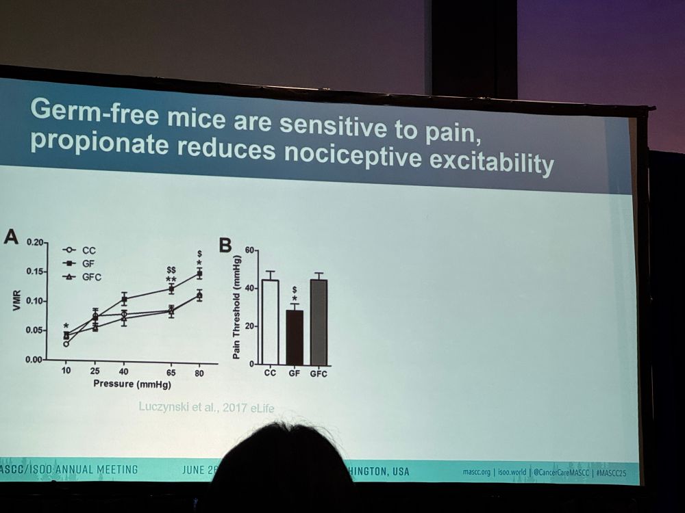 Slide with the title 

“Germ-free mice are sensitive to pain, propionate reduces nociceptive excitability”

Simplified - mice without the usual microorganisms in their gut were more sensitive to pain. 

Line and bar graph that are non essential to understanding the graph. 

