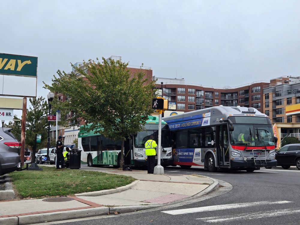 A bus hit another bus 