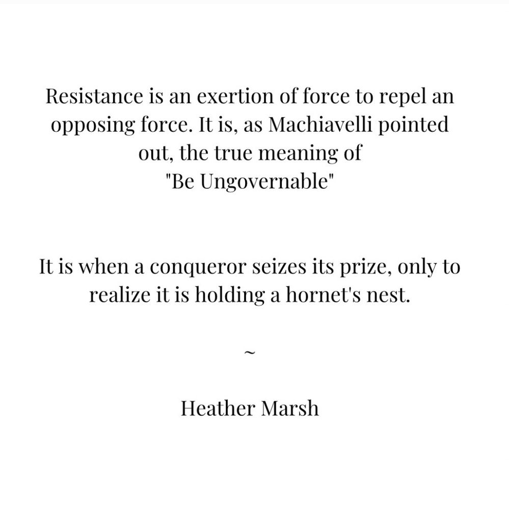Resistance is an exertion of force to repel an opposing force. It is. as Machiavelli pointed out, the true meaning of "Be Ungovernable"
It is when a conqueror seizes its prize, only to realize it is holding g hornet's nest.
~Heather Marsh