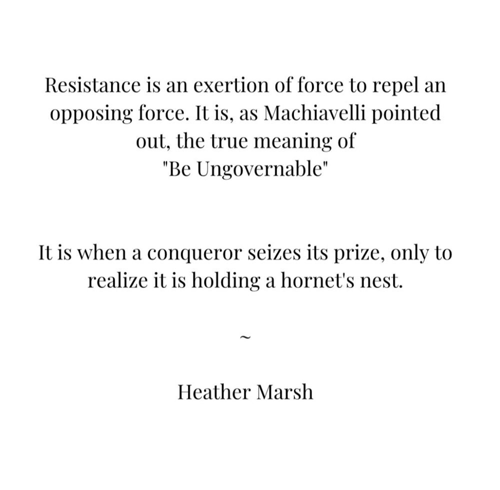 Resistance is an exertion offorce to repel an opposing force. It is, as Machiavelli pointed out, the true meaning of "Be Ungovernable"
It is when a conqueror seizes its prize,only to realize it is holding a hornet's nest.
~
Heather Marsh