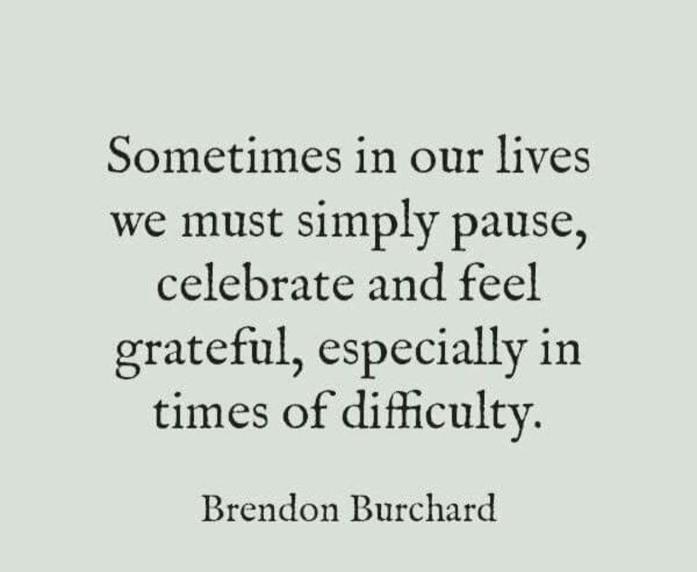 Sometimes in our lives we must simply pause, celebrate and feel grateful, especially in times of difficulty- Brendon Burchard