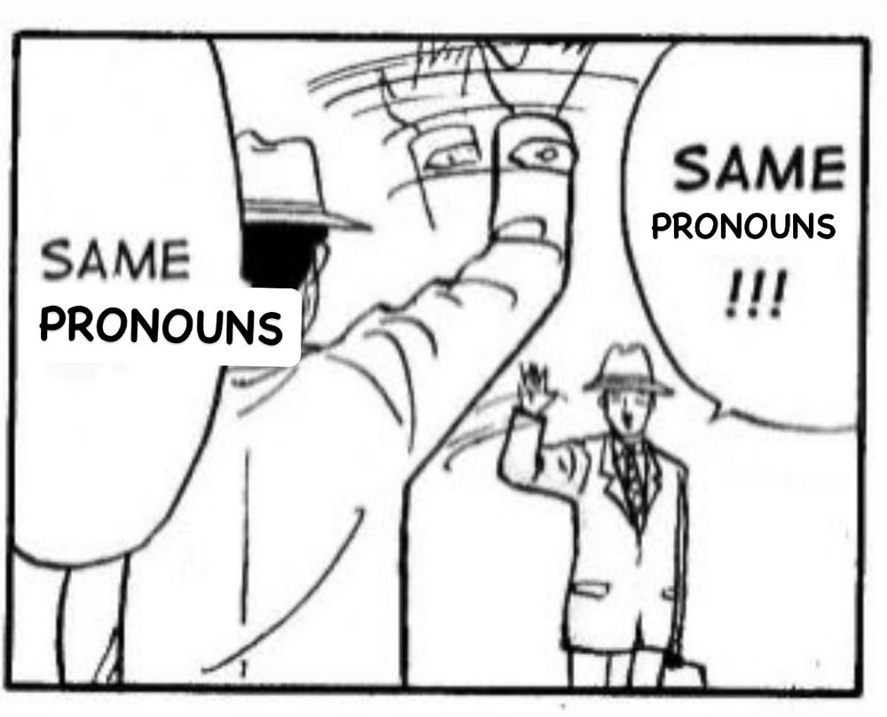 same hat meme but it is edited to say ‘same pronouns’