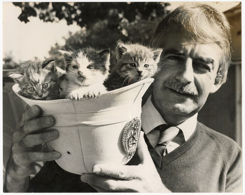 Black and white photo of 3 kittens being held in a white upside down "Bobby" style police helmet. The helmet is held by an older man with a moustache. 