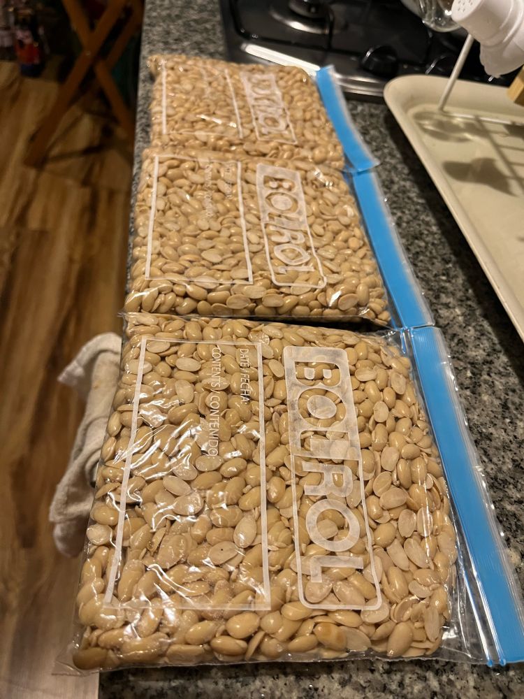 Bolsas con granos de soya antes de fermentarlos para hacer tempeh.