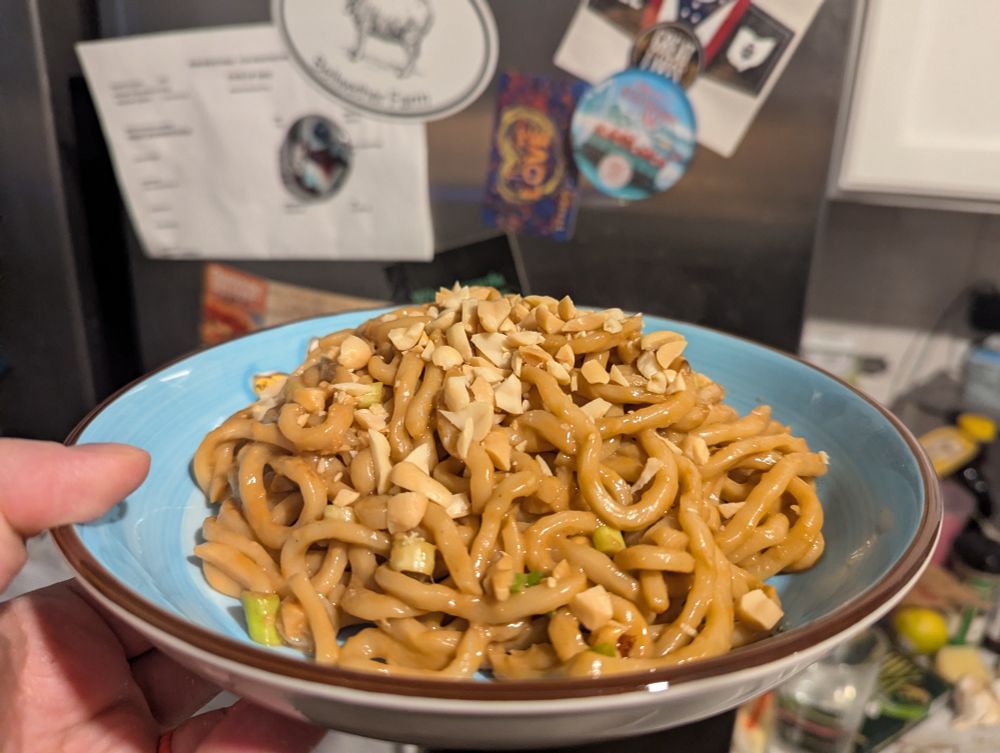 A bowl of sesame noodles 