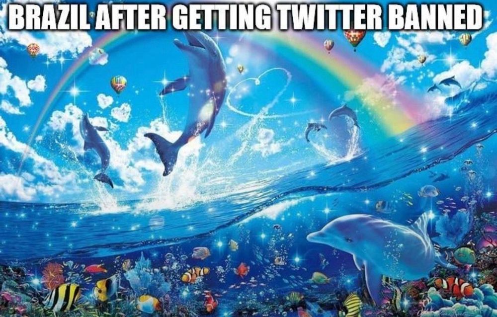 Meme em inglês “Brasil depois do banimento do Twitter”. A imagem é de um céu azul com o mar cheio de peixes coloridos, golfinhos e um lindo arco-íris na cena