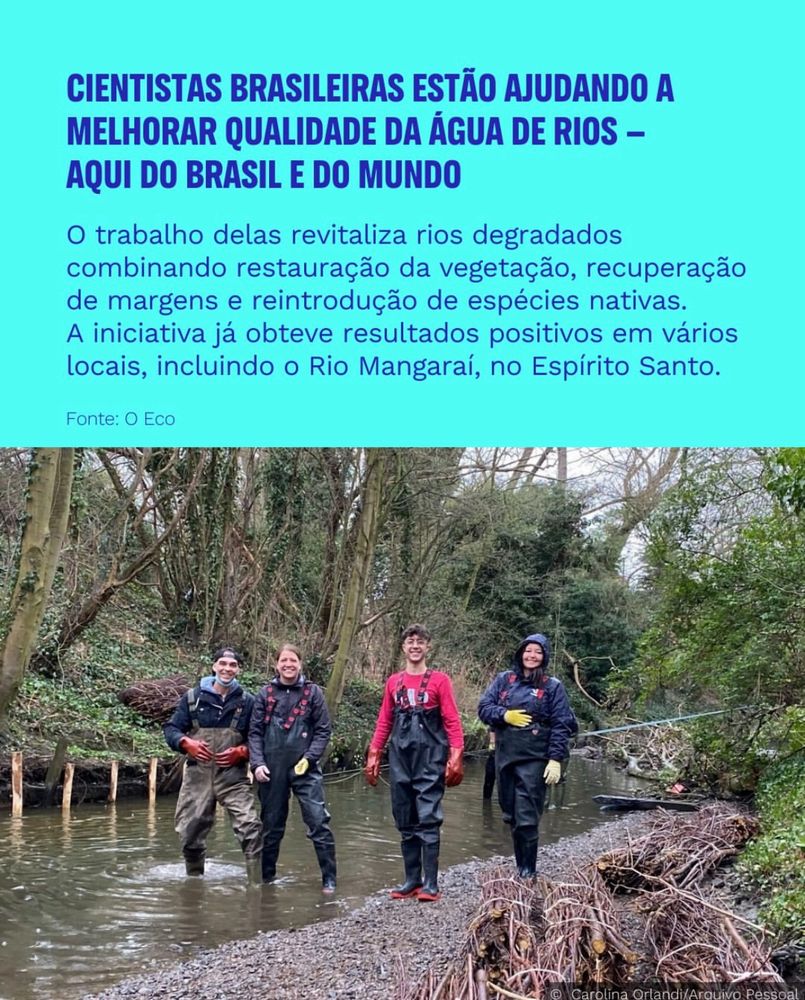 CIENTISTAS BRASILEIRAS ESTÃO AJUDANDO A MELHORAR QUALIDADE DA ÁGUA DE RIOS -
AQUI DO BRASIL E DO MUNDO
O trabalho delas revitaliza rios degradados combinando restauração da vegetação, recuperação de margens e reintrodução de espécies nativas.
A iniciativa já obteve resultados positivos em vários locais, incluindo o Rio Mangaraí, no Espírito Santo.
Fonte: O Eco