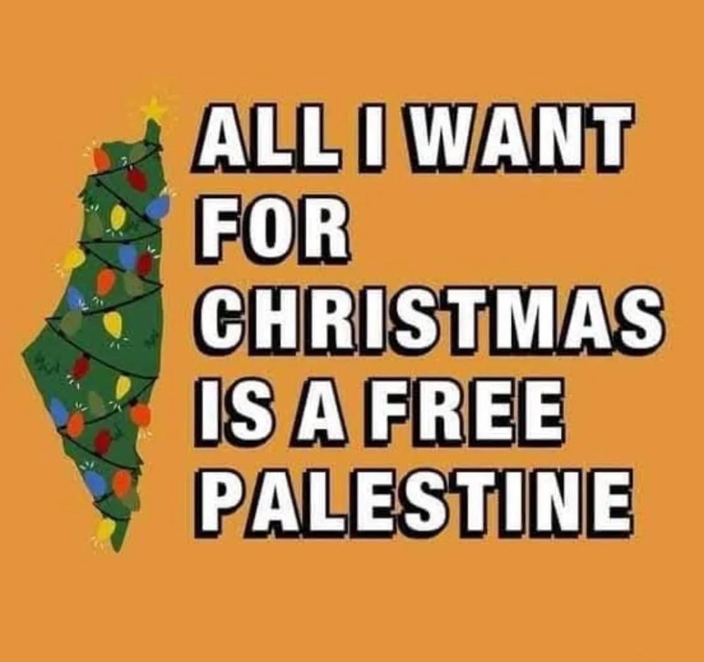 Mapa da Palestina com luzes de Natal coloridas e a mensagem em inglês: “All I want for Christmas is a free Palestine”