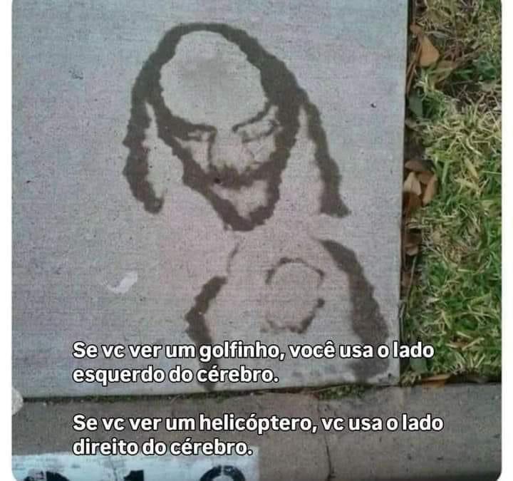 Imagem disforme com o texto:

“Se vc ver um golfinho, você usa o lado esquerdo do cérebro.

Se vc ver um helicóptero, vc usa o lado direito do cérebro.”
