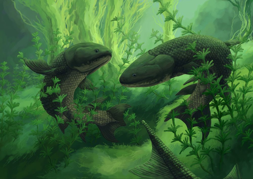 Digital illustration of two eusthenopteron fish swimming through algae