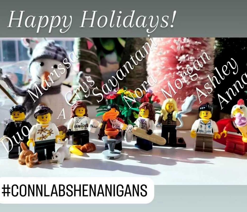 conn Lab lego figures per each lab member
