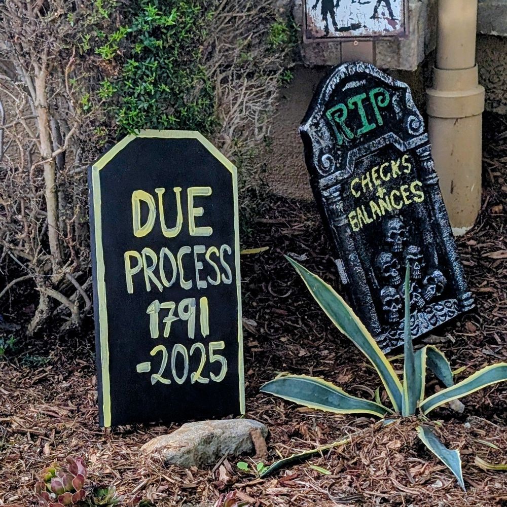 Two tombstones, one reading "Due Process, 1791-2025", and the other reading "RIP checks and balances".