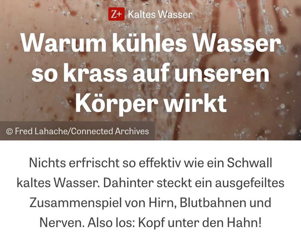Z+ Artikel
Warum kühles Wasser so krass auf unseren Körper wirkt. 
Nichts erfrischt so effektiv wie ein Schwein kaltes Wasser. Dahinter steckt ein ausgefeiltes zusammenspiel von Hirn blutbahnen und Nerven. Also los: Kopf unter den Hahn!