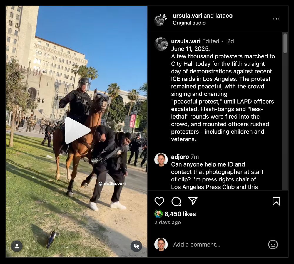 Screenshot from Instagram showing horse hitting photographer.