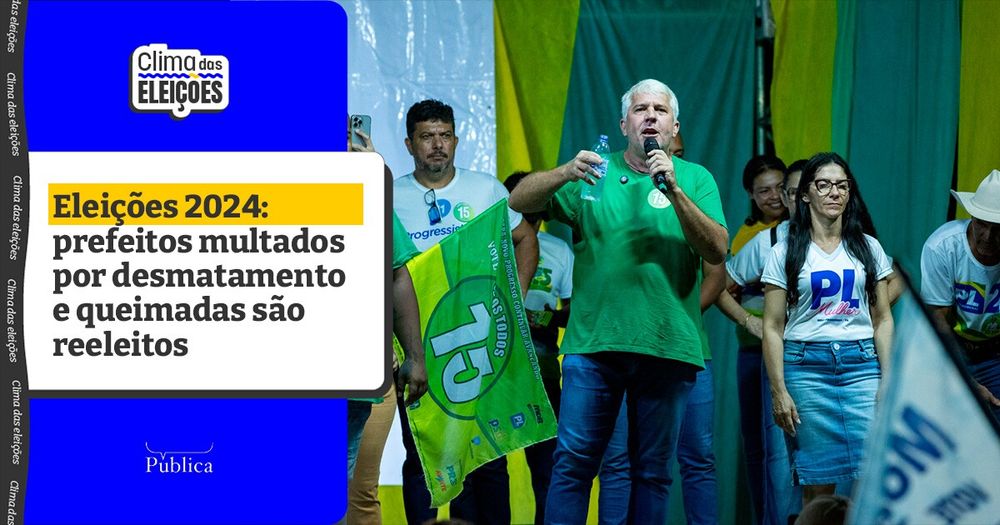 Eleições 2024: prefeitos com multas ambientais são reeleitos