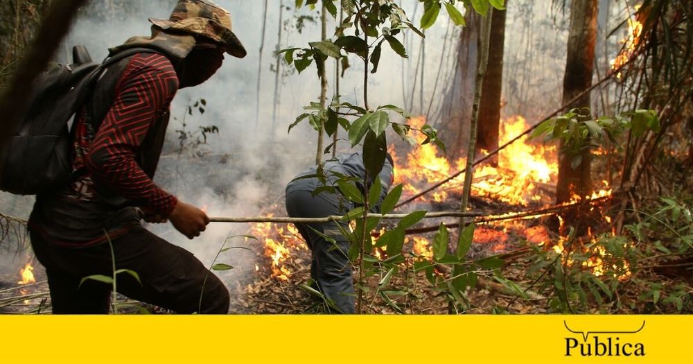 Brigada indígena voluntária combate incêndios no Pará