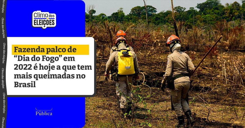 Queimadas: a fazenda que mais pegou fogo no Brasil