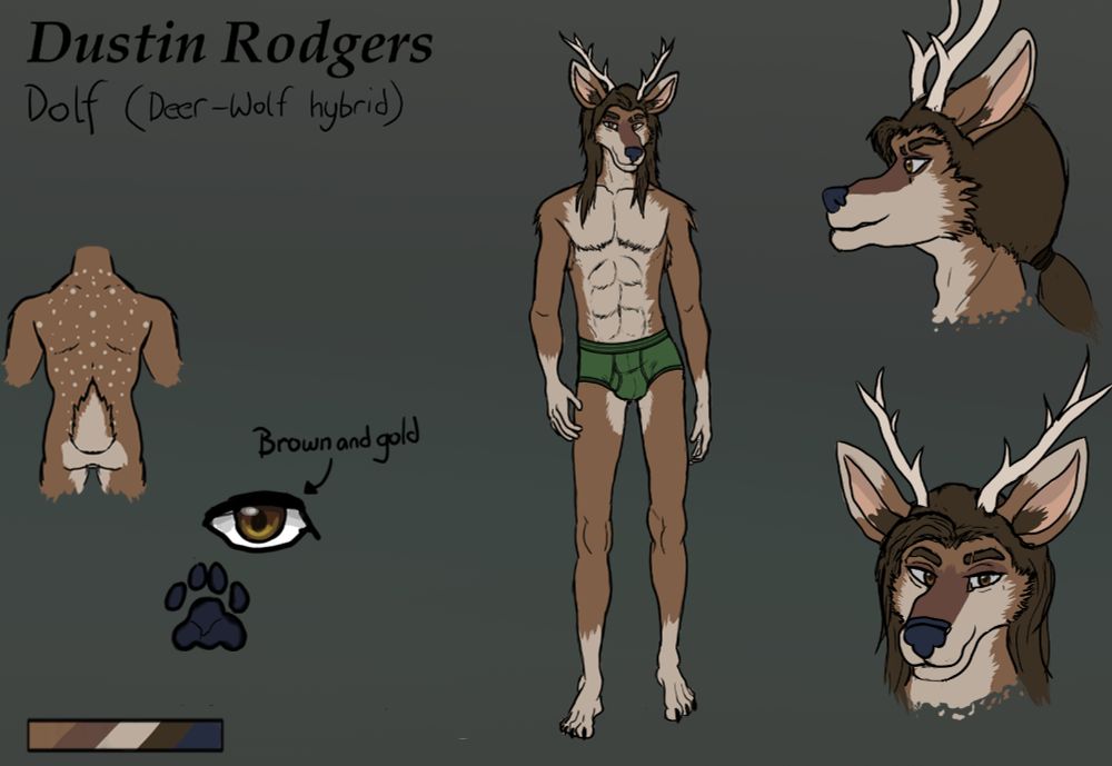 A reference sheet of my fursona, Dustin Rodgers, a deer-wolf hybrid, with brown fur, cream inner fur, and brown shoulder-length hair