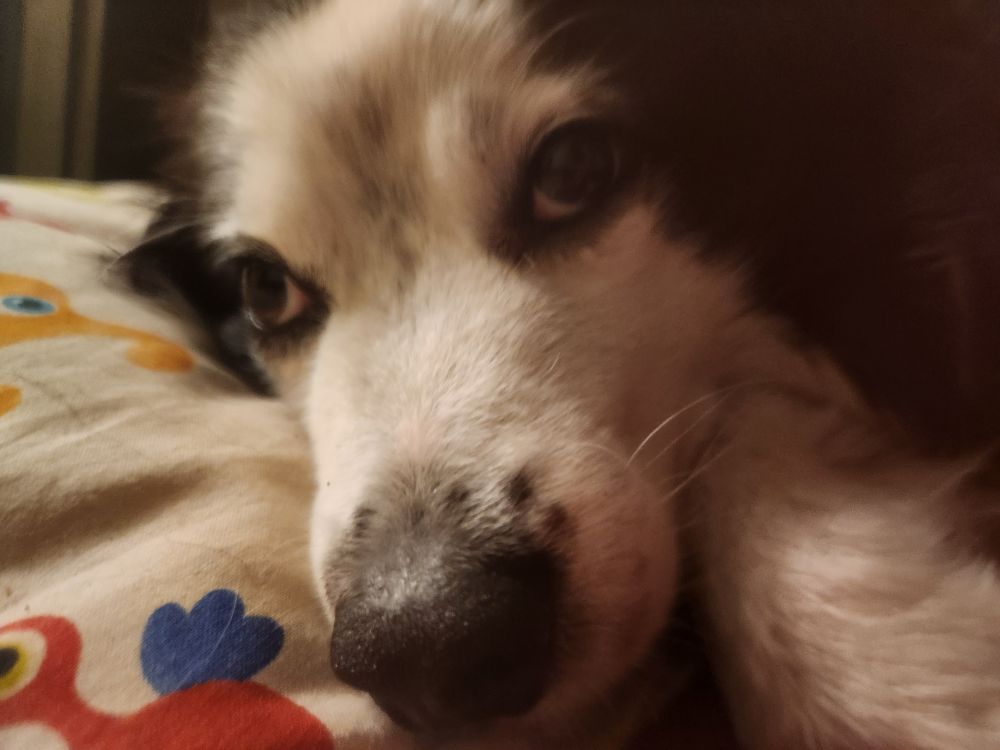 bueller is hoping you feel better