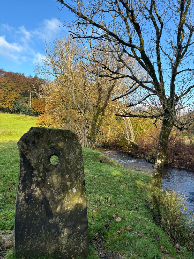 The Stone of Gronw made for the Granada TV adaptation of The Owl Service stands on the bank of the River Dyfi in Llanymawddwy, Wales. It is dappled in sunlight with autumnal trees lining the riverbank in the background. Photograph taken on 31 October 2024.