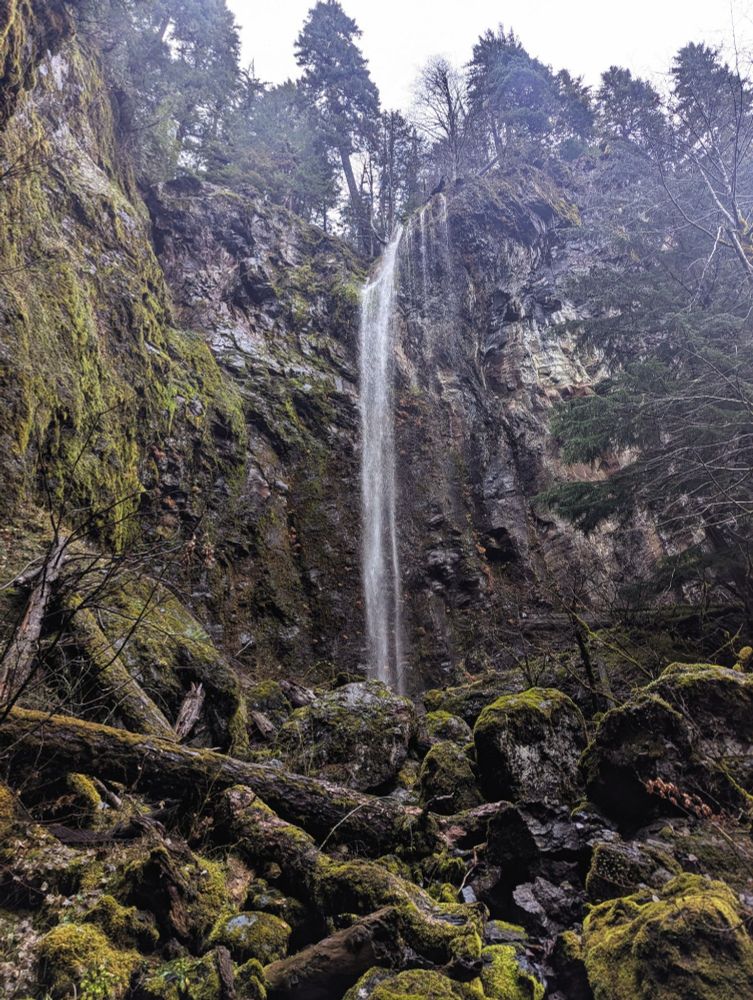 A waterfall in the Willamette National Forest