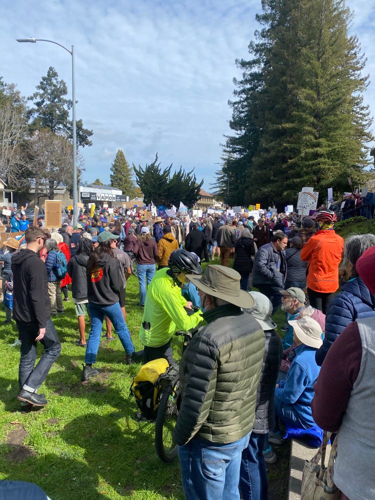 Santa Cruz California protest