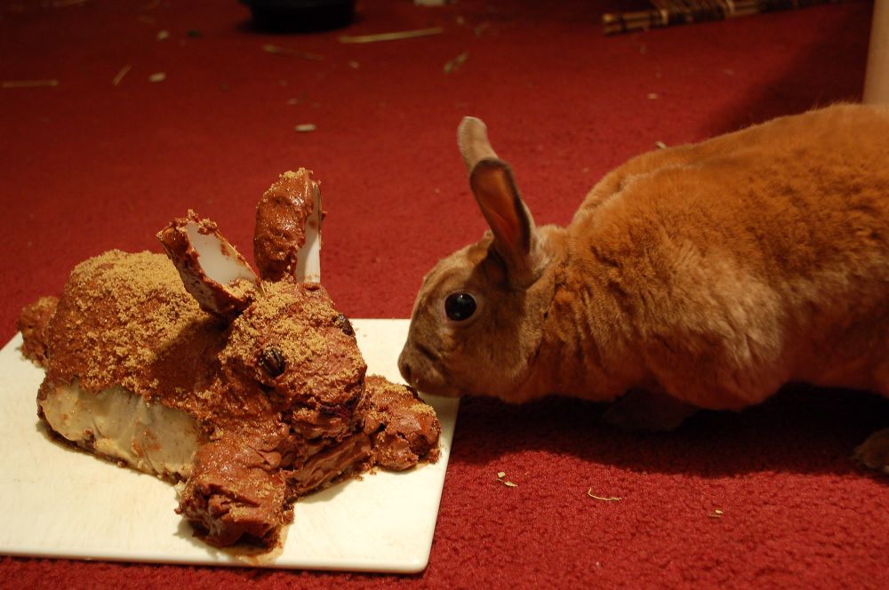 a soft brown rabbit sniffs at a vaguely bunny-shaped cake covered in chocolate frosting.