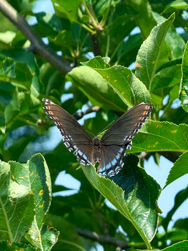 [Lake County, Illinois USA]