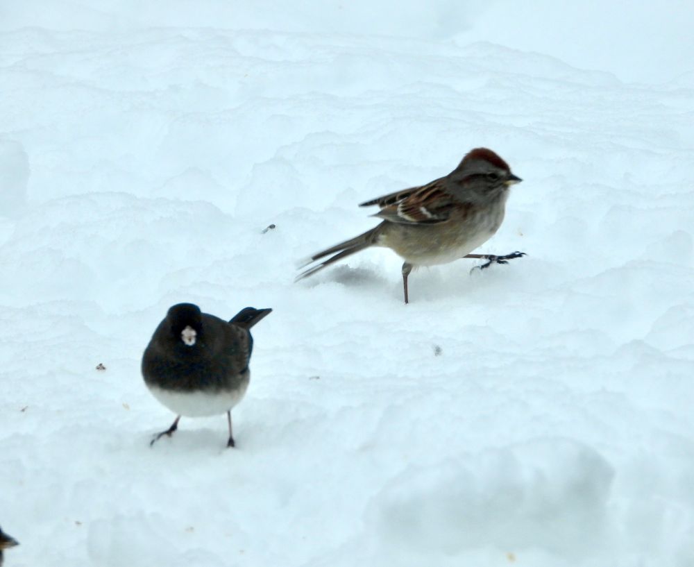 [Lake County, Illinois USA]
