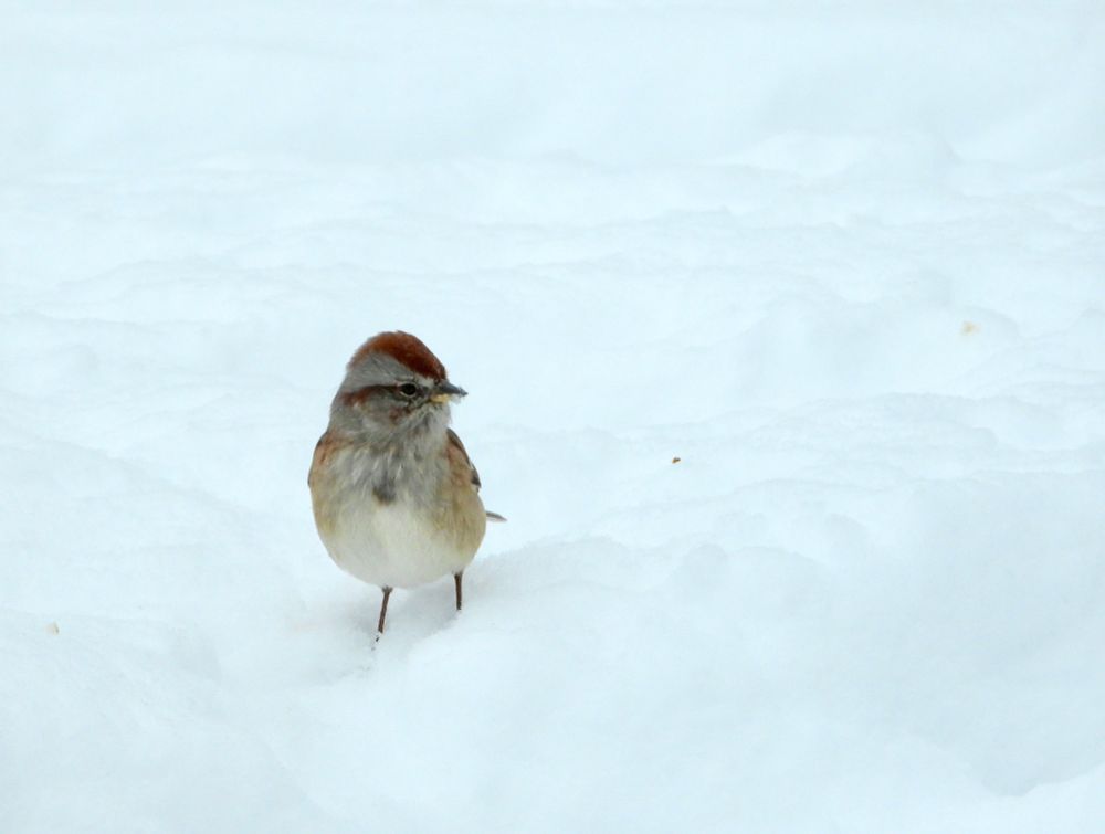 [Lake County, Illinois USA]