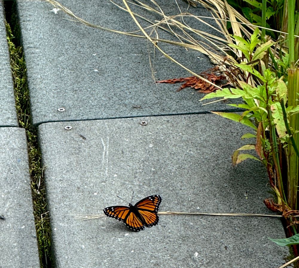 [Lake County, Illinois USA]