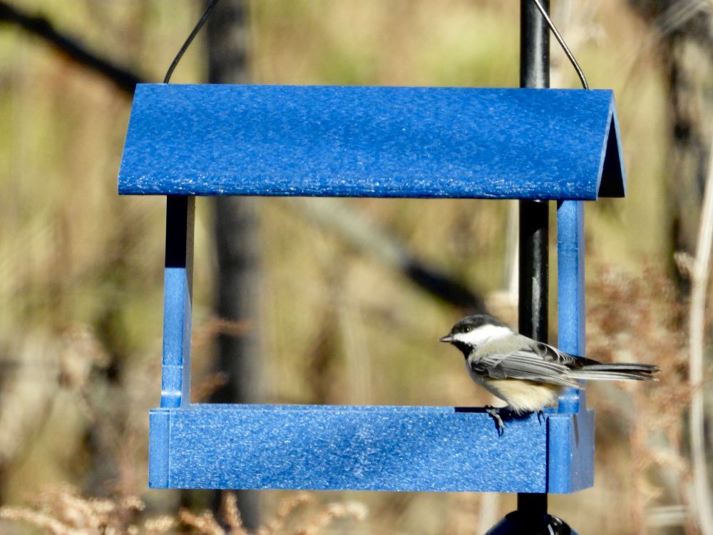 [Lake County, Illinois USA]
