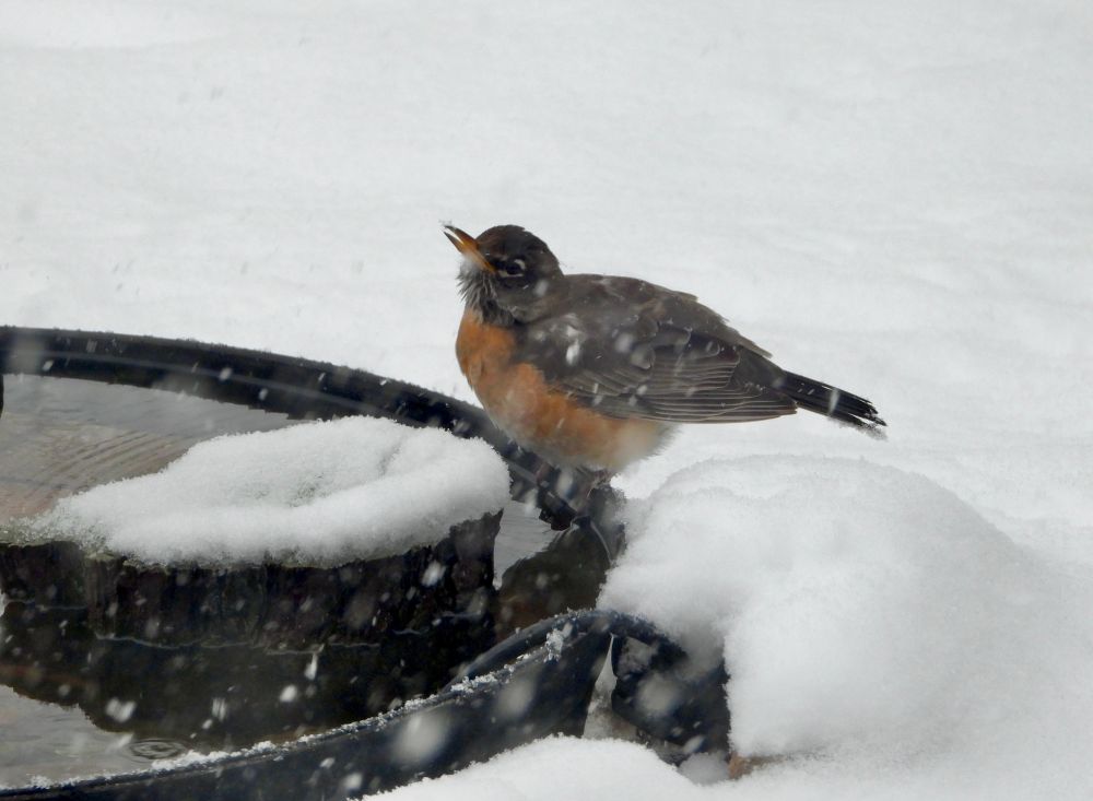 [Lake County, Illinois USA]