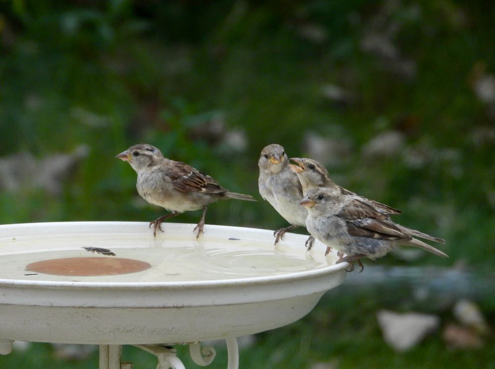 [Lake County, Illinois USA]