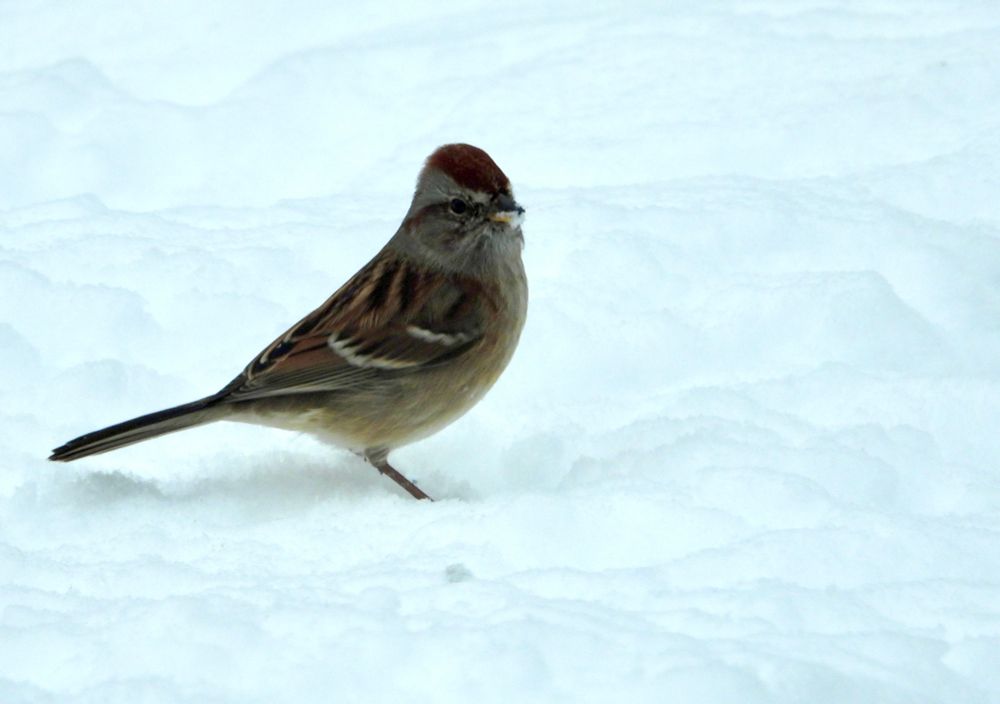 [Lake County, Illinois USA]