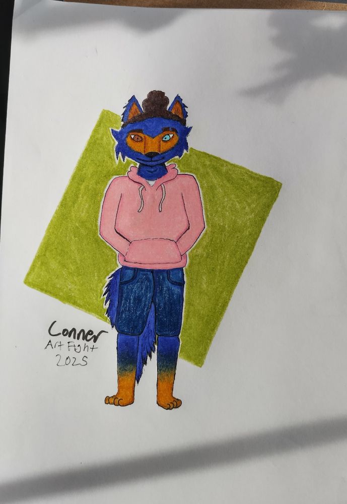 This is a colored pencil and ink pen drawing of a fox and German shepherd hybrid character by VinToonz. The name of the character is Conner. They are blue and tan and are wearing a pink hoodie and denim shorts and there's a green square background behind him. 
