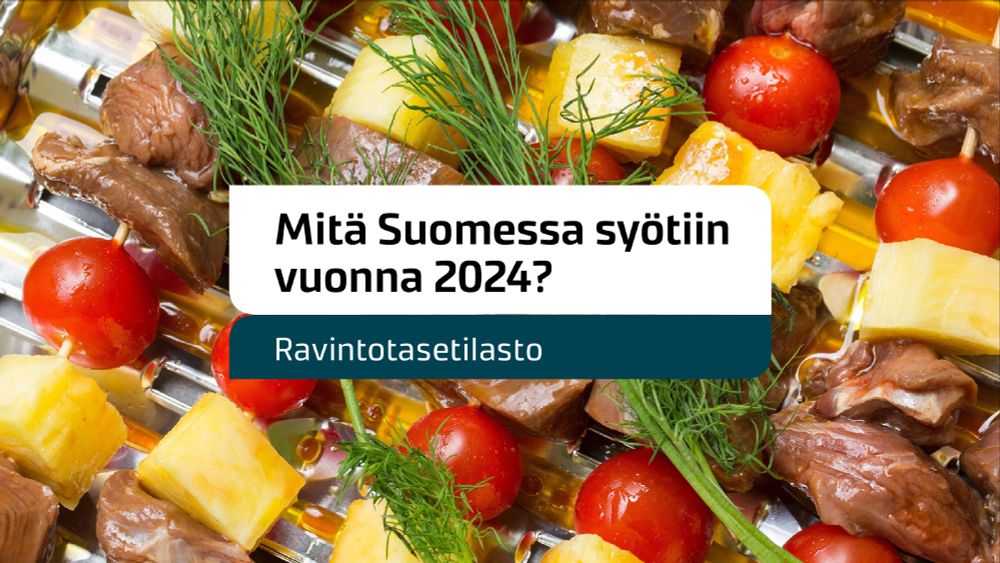 Banneri, jossa teksti: Mitä Suomessa syötiin vuonna 2024? Ravintotasetilasto. Taustalle grililvartaita, joissa kasviksia, yrttejä ja lihaa. 