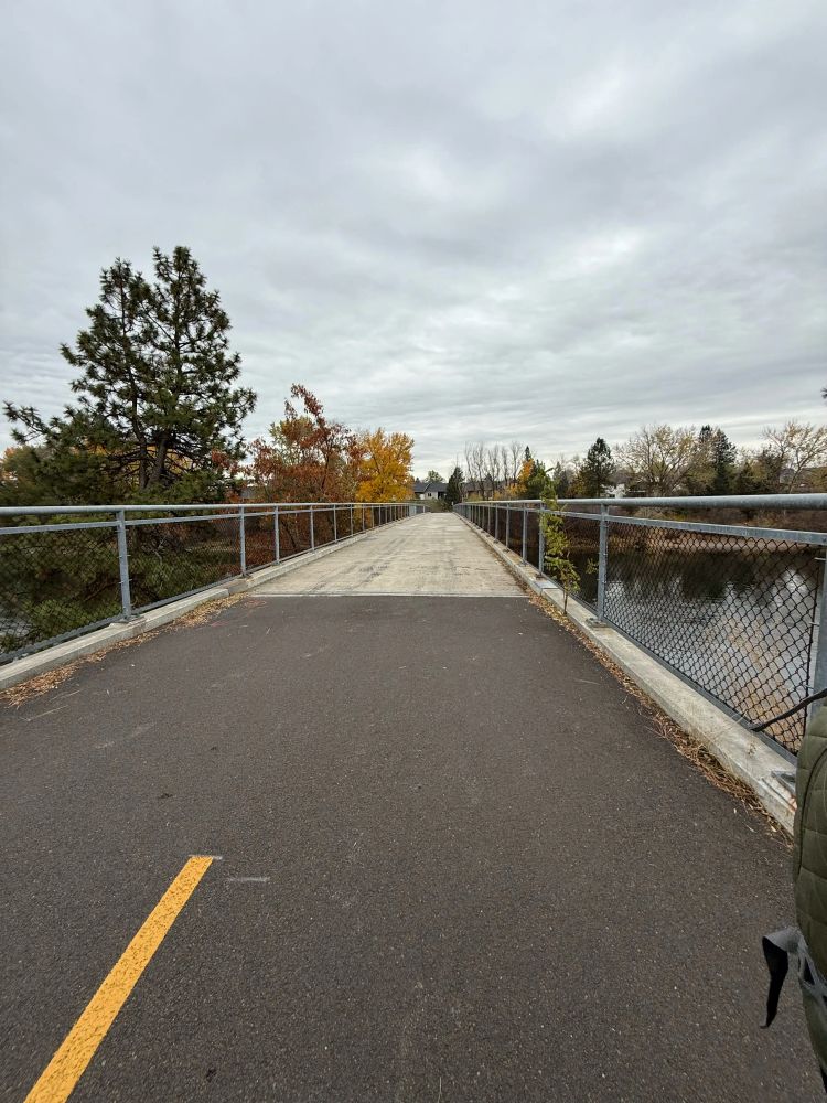 Straight paved pedestrian bridge over water with chainlink rails, autumn trees and overcast sky leading to distant houses.