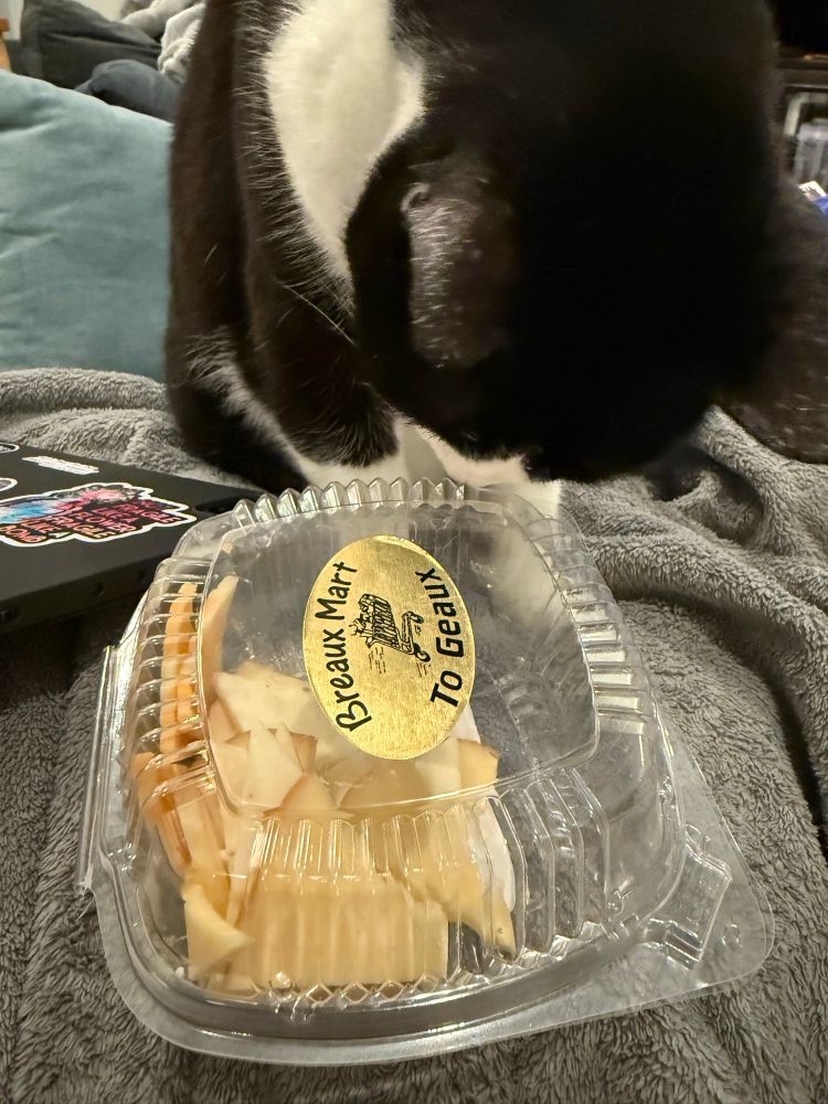 Sophie Jane trying to get to my cheese pieces which are in a plastic clamshell container