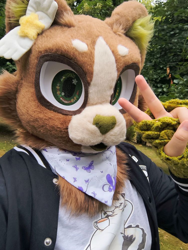 A selfie of Koke the Moss cat, a domestic cat with moss green highlights and a star bow on their ear.