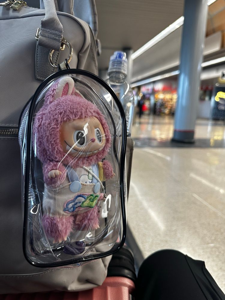 Labubu in a plastic safe case airport in the background 