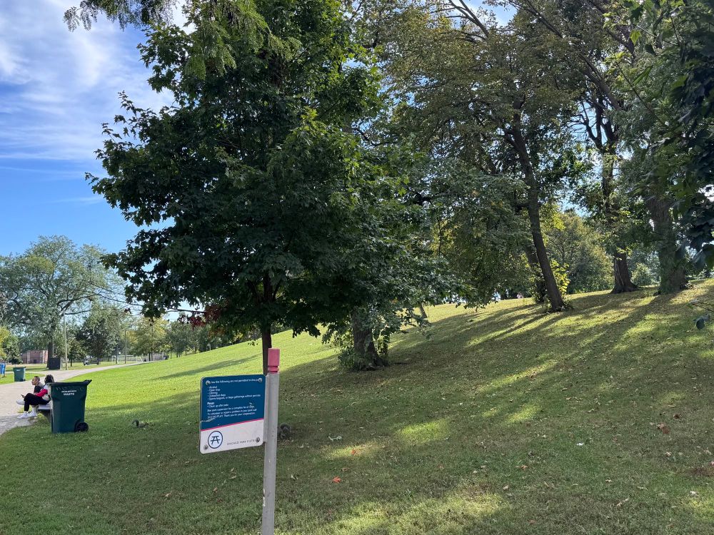 Gentle slope with trees in Riis Park, Belmont Cragin, Chicago. 