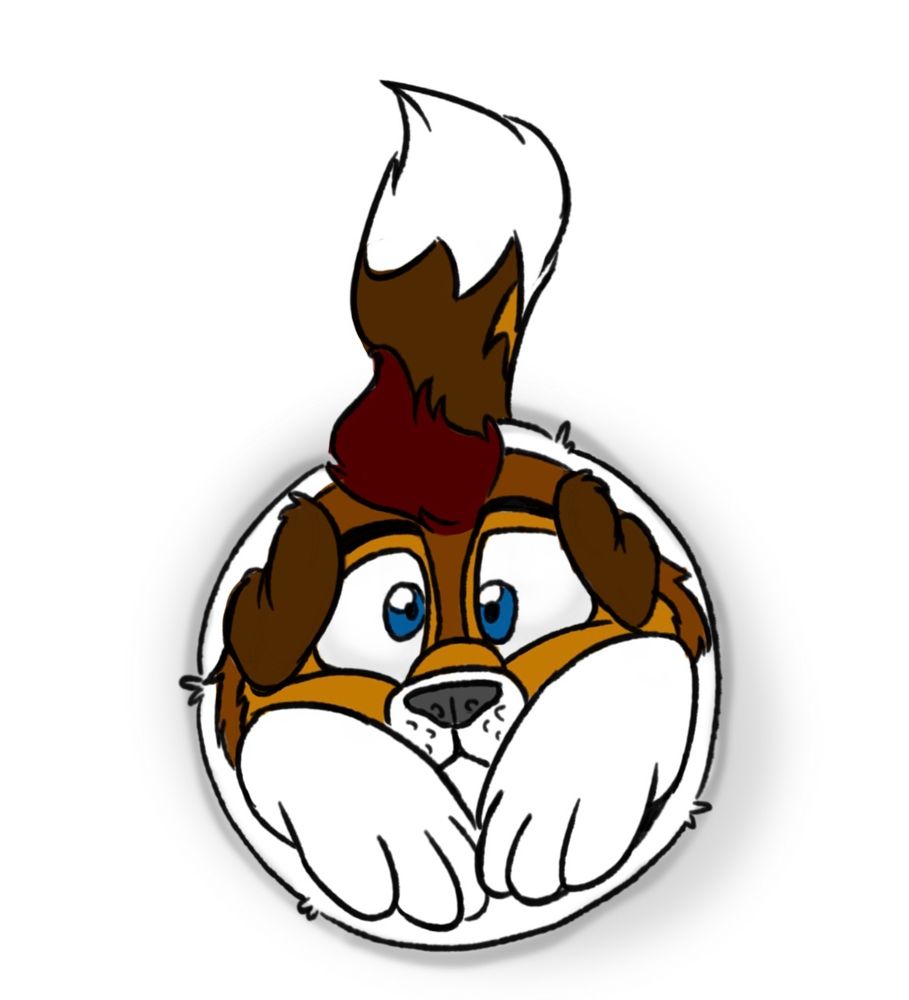 Border Collie Frisbee~