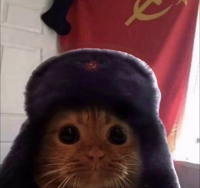 a cat wearing a hat with a red hammer and sickle on it