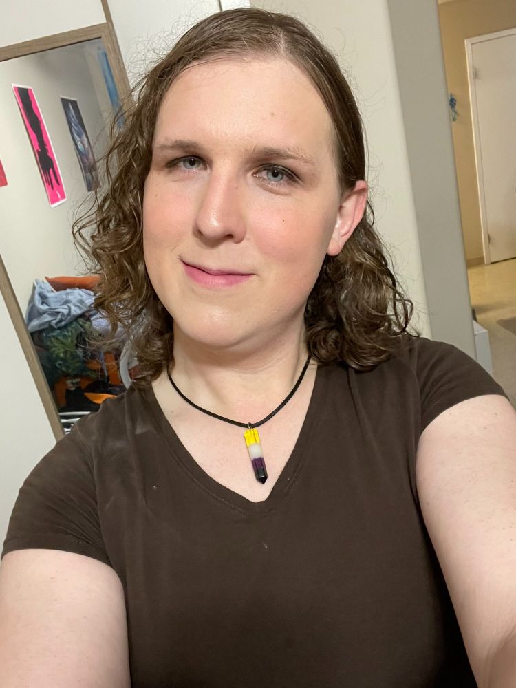 A selfie of Lyra after one year of HRT. They have a full face of makeup on and seem to be grasping where to put it but not how to make it pop. As well as on their shirt there is some residual powder Lyra has not cleaned off. Their hair is about shoulder length and is still wet which they would learn sometime to take some after it had dried. They have a brown t-shirt on with the non-binary colour crystal necklace. Lyra is still smiling and enjoying themself at this point.